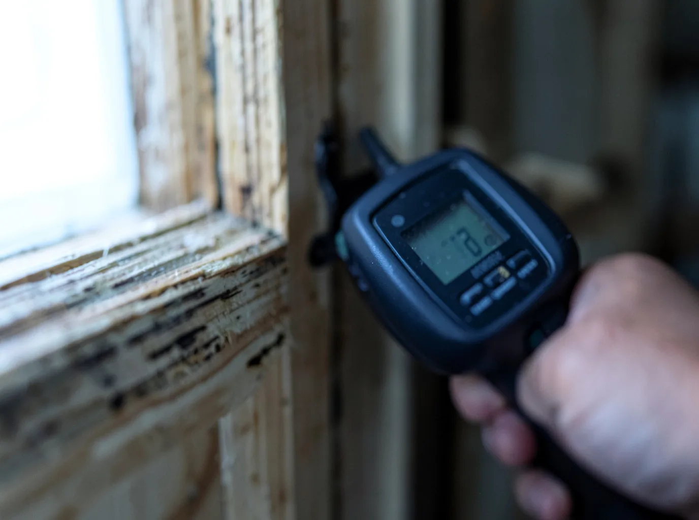 Moisture Inspection And Documentation in Bentley, MI